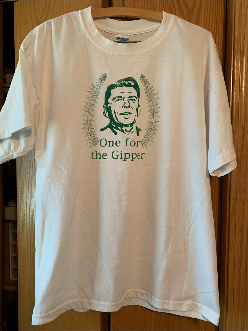 Gildan White Short Sleeve Tee with Green Graphic